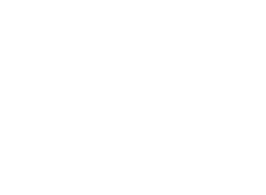 Polli Bazar